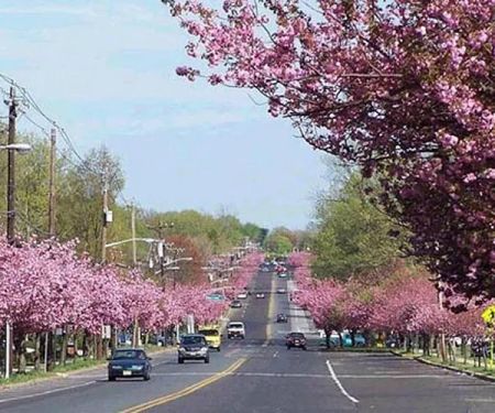 Cherry Hill Personal Injury Lawyer