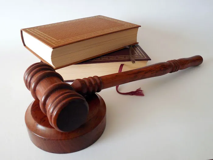Zirkin and Schmerling law Picture 1