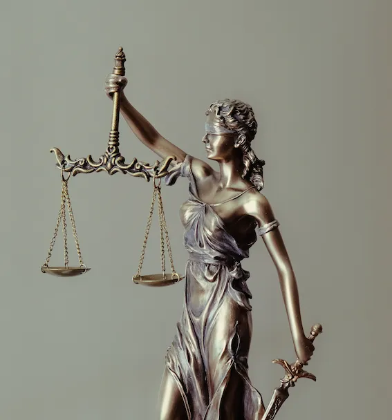 Zirkin and Schmerling law Picture 8