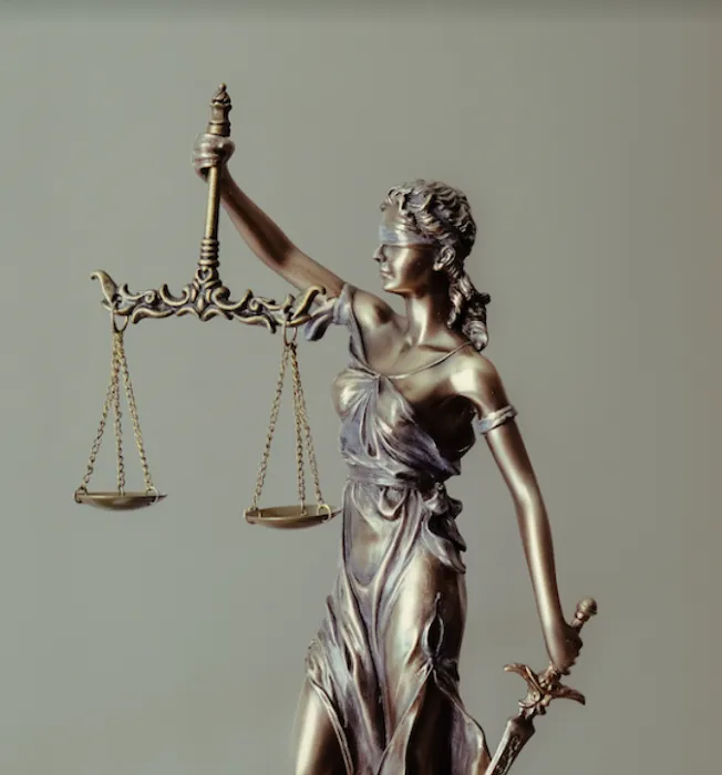 Zirkin and Schmerling law Picture 9