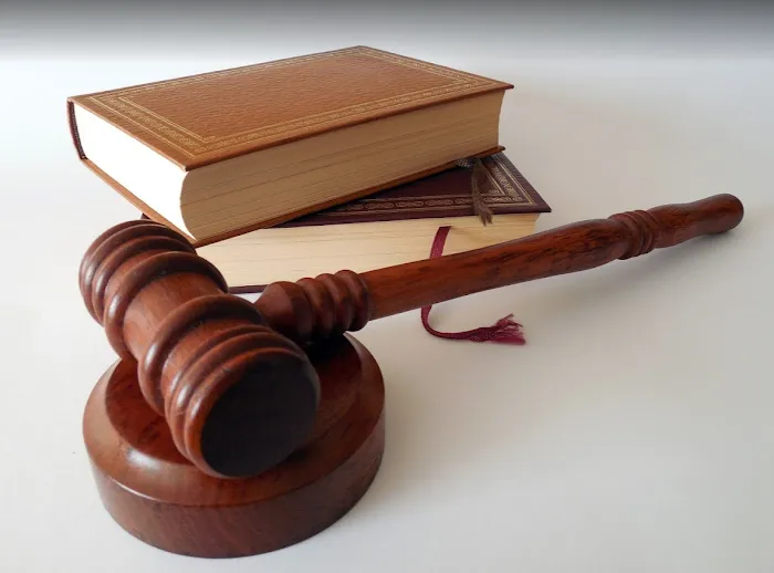 Zirkin and Schmerling law Picture 10