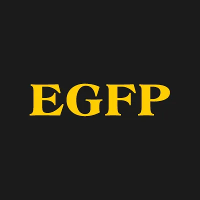 Eisenstat Gabage & Furman Pc Picture 2