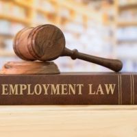 Smithey Law Group LLC | Annapolis Employment Lawyer ico