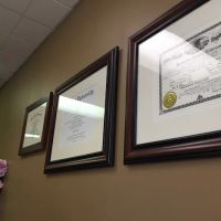 Evergreen Legal Services ico