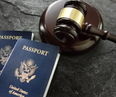 Law Made Simple: The Basics of Immigration Law for Newcomers